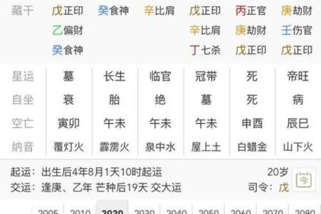 八字排盘命格查询：揭开你命运的神秘面纱