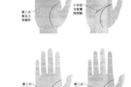 如何通过手纹手诊解读你的人生轨迹