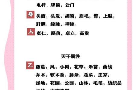 解密天干：探索五行背后的智慧与关系