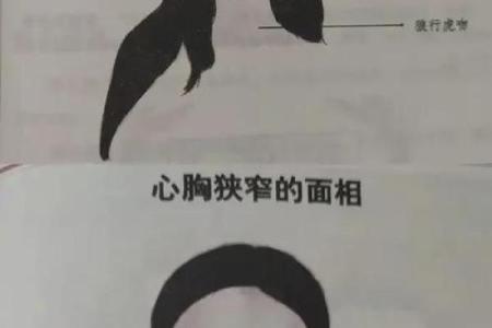 眉眼传神，财运亨通：揭秘眉毛与眼睛的财富面相密码