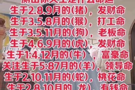 探索命运的奥秘，在线命理测算为你提供精准答案