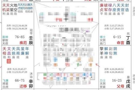 如何通过紫微排盘精准预测未来，专家推荐最准方法