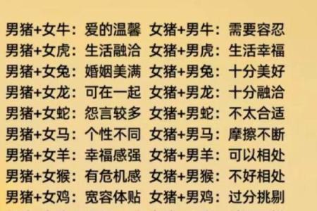猪猴相配，揭秘最佳伴侣