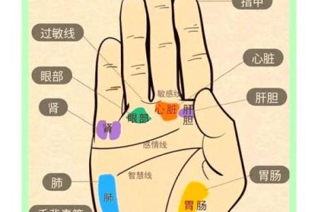 天干在掌心，探寻生命的无限可能
