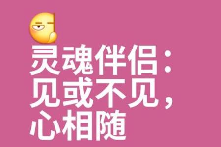 星座秘语：揭秘与你灵魂相通的神秘伴侣