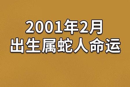 属蛇金命：揭秘财富运势的神秘密码