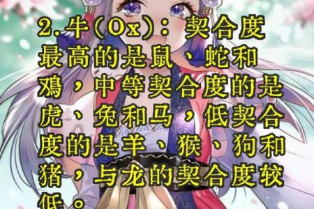 生肖配对：这个生肖与你的命中注定