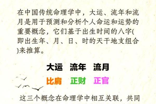 揭秘三奇命：命运转折的关键所在