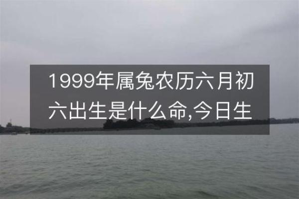 路旁土命爆红，揭秘你的生肖秘密