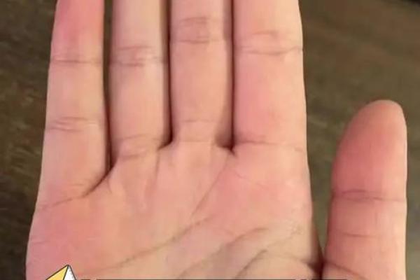 揭秘女性手相智慧线分叉之谜，轻松掌握运势