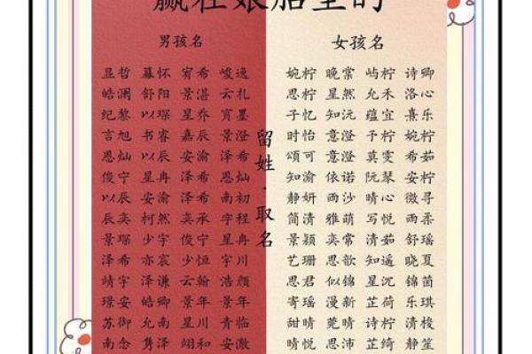 宝宝起名公司，助力孩子人生起点