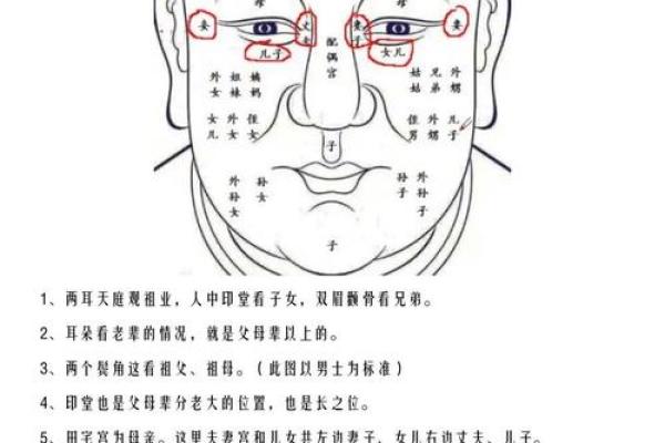 面相揭秘：每月运势面相图，精准预知你的运势起伏