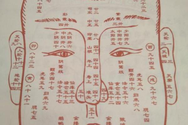 面相揭秘：每月运势面相图，精准预知你的运势起伏