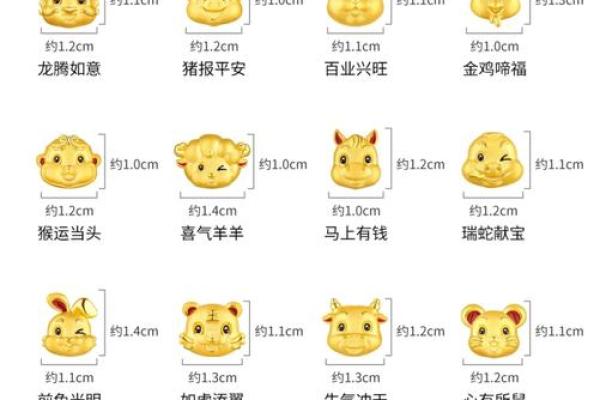 十二生肖：揭秘生肖背后的神奇魅力与运势解析