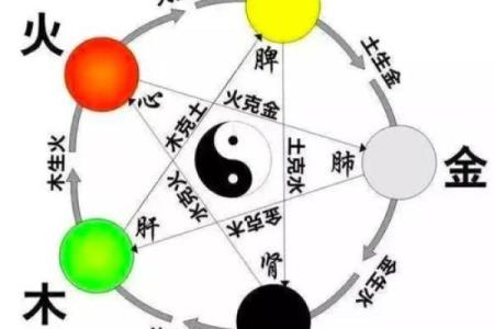 探索乖字五行属性，带你了解深层次含义