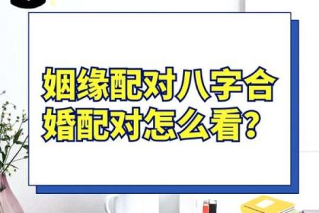 男女合八字助力感情长久，真相竟然是…