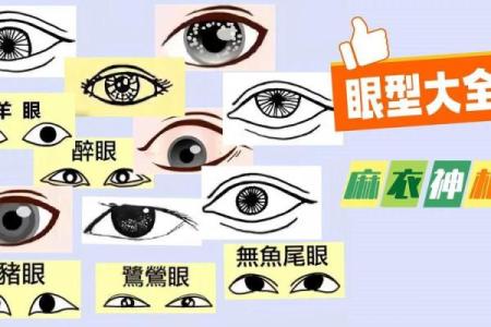 眼球突出，命运逆袭：揭秘面相中的神秘力量