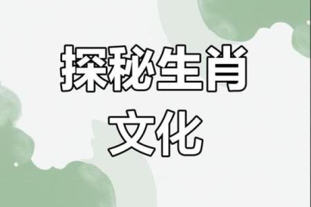 十二生肖：揭秘生肖背后的神奇魅力与运势解析
