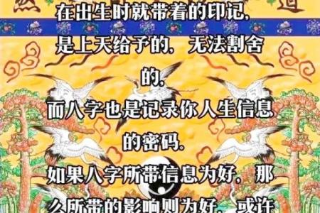 八字排盘：你不能忽视的命运密码，学会这一招让你运势翻倍