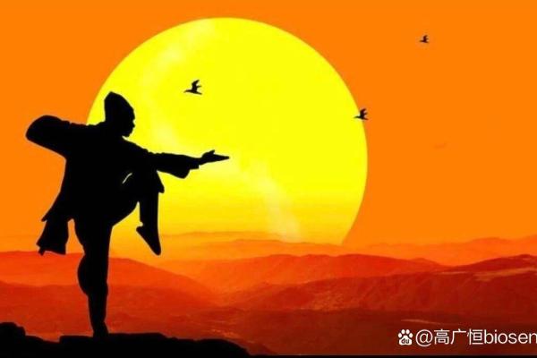 龙蛇配，缘分深？