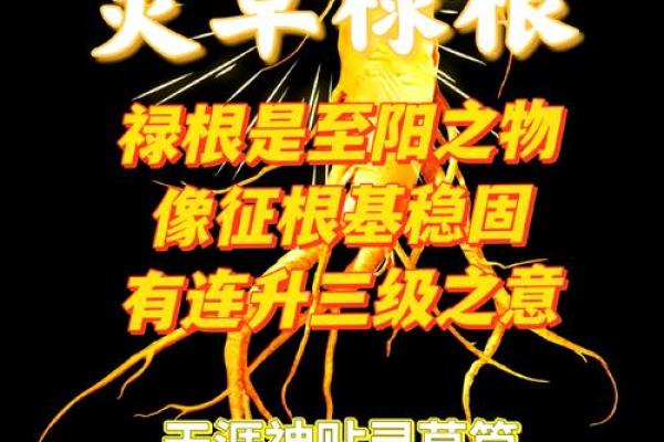 天干禄库的神秘力量，你值得一探究竟