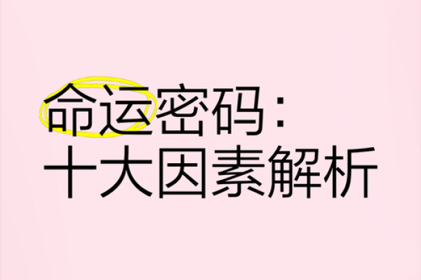 揭秘你的命运密码：姓名背后的惊人真相
