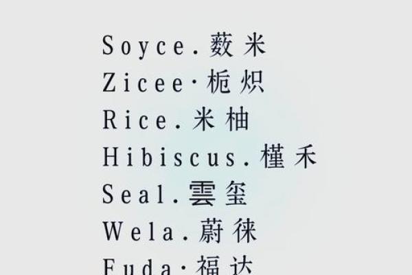 出口公司如何起名才能脱颖而出？