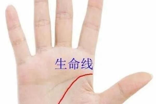 揭秘手相生命线格子，揭秘你的命运与未来