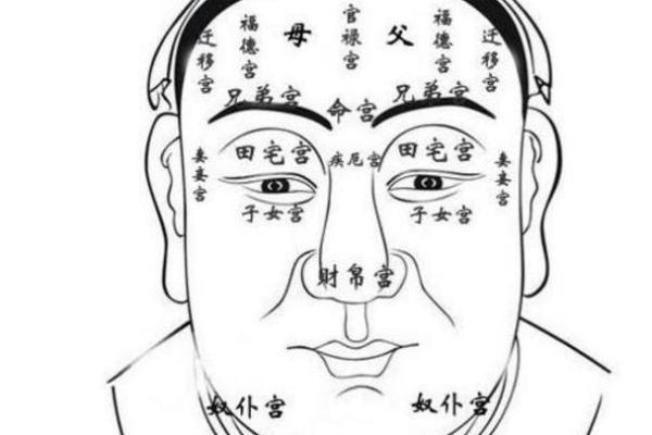 嘴唇大小透露命运，揭秘面相秘密，让你一眼看透人生