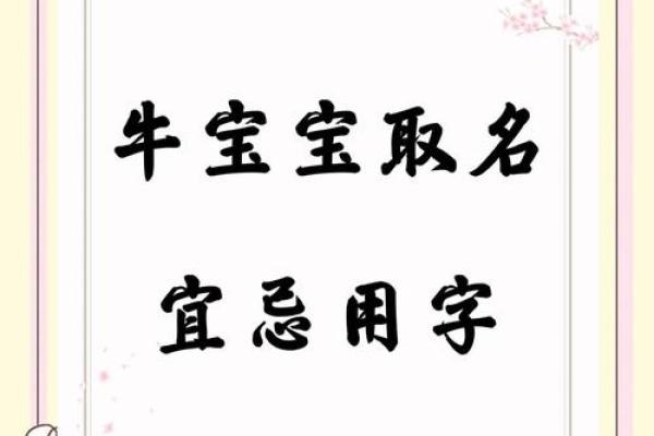名字决定运势？了解起名宜忌为未来加分
