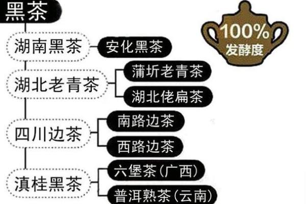 气字五行属什么？看完这一篇你就明白