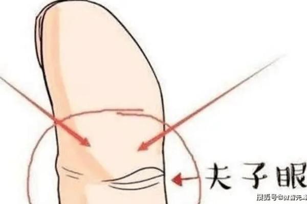 手相揭秘：指头肚长痦子暗示什么运势？必看