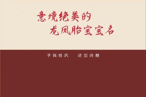 让双胞胎名字更有意义：生辰八字解析