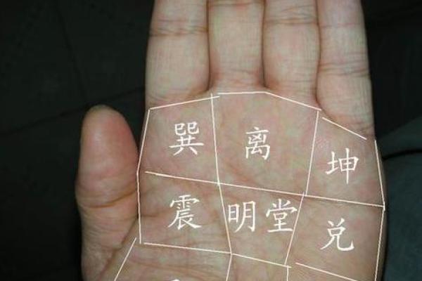 面相揭秘：揭秘女性手掌中的运势密码