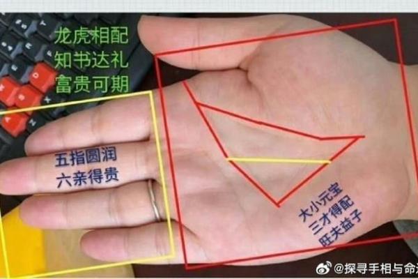 面相揭秘：揭秘女性手掌中的运势密码