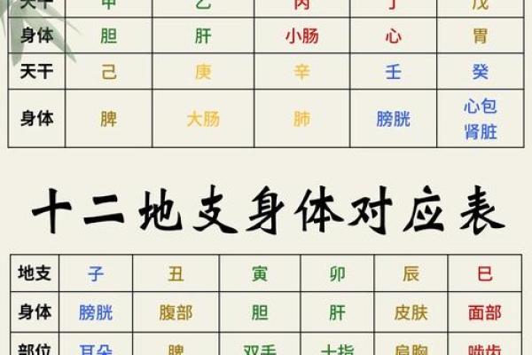 地支透天干表中的深层含义，你了解多少？