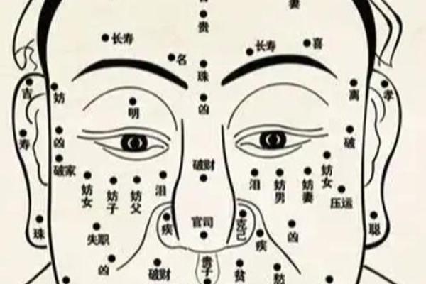面相揭秘：脸大五官紧凑，揭秘你的运势与性格