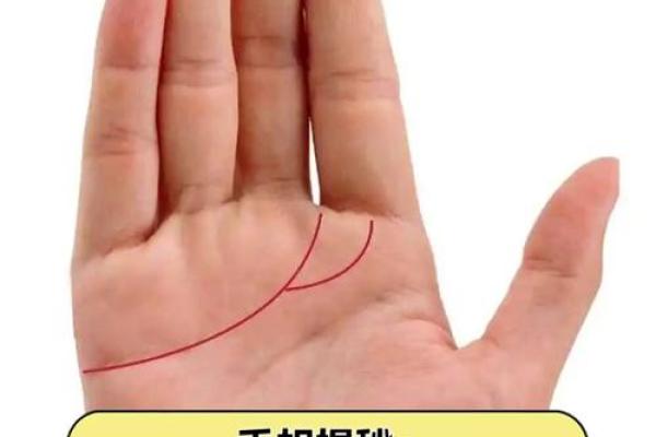 手相奥秘大揭秘：揭秘命运密码，一招看透人生运势