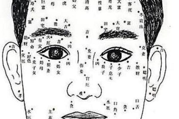 面相揭秘：看脸识命运，揭秘你的人生转折点