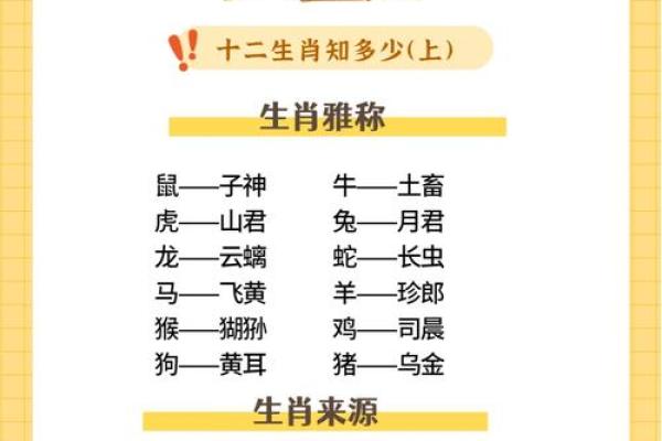 生肖魅力：揭秘十二生肖背后的神秘力量
