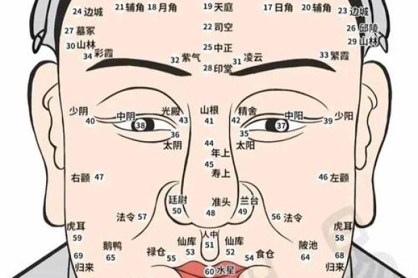 面相财运宫揭秘：财运亨通的秘密密码