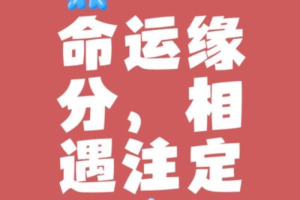 猪缘天定：揭秘最佳配对秘籍