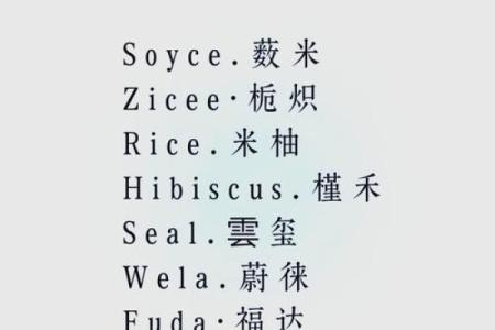 出口公司如何起名才能脱颖而出？