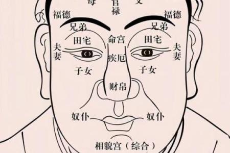 嘴唇的秘密：揭示面相中的运势密码