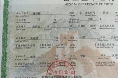 让双胞胎名字更有意义：生辰八字解析