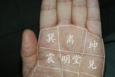 面相揭秘：揭秘女性手掌中的运势密码