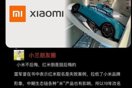 小米起名的成功案例分析，打造品牌的名字背后故事