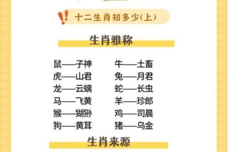 生肖魅力：揭秘十二生肖背后的神秘力量