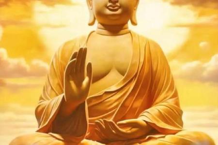 养菊花家居风水：招财进宝，好运连连的秘密