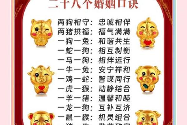 兔龙姻缘：是绝配还是擦肩而过？生肖婚配大解析